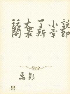 玩大了小说笔趣阁最新章节无弹窗封面