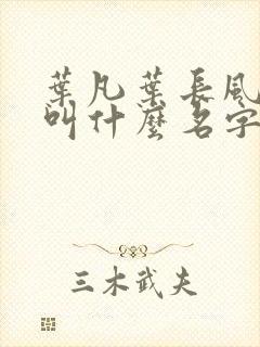 叶凡叶长风小说叫什么名字封面