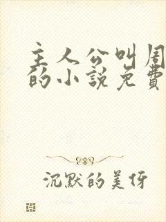 主人公叫周轻羽的小说免费阅读