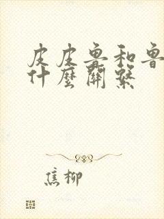 皮皮鲁和鲁西西什么关系