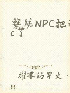 系统NPC把我c了