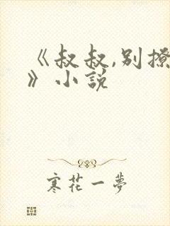 《叔叔,别撩我》小说