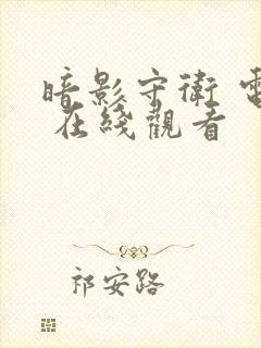 暗影守卫 电影 在线观看