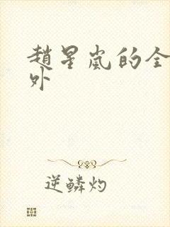 赵星岚的全部番外