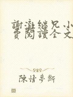 谢澈继兄小说免费阅读全文无弹窗封面