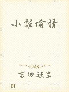 小说偷情