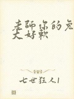 老师你的兔子好大好软封面