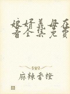 娘婿义母在线观看全集免费播放