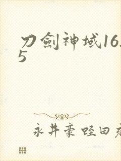 刀剑神域16.5封面