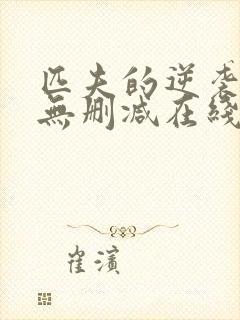 匹夫的逆袭小说无删减在线阅读