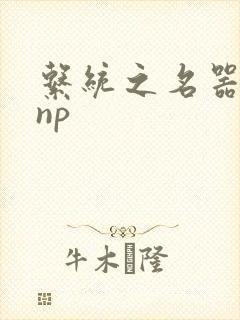 系统之名器攻略np