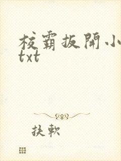 校霸扳开小班长txt