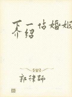 下一站婚姻剧情介绍