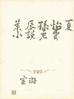 叶辰孙怡夏若雪小说免费封面