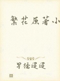 繁花原著小说