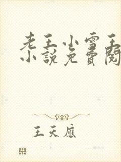 老王小雪王虎的小说免费阅读封面