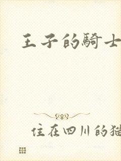 王子的骑士小说