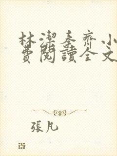 林洁秦齐小说免费阅读全文最新章节封面