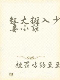 粗大挺入少妇人妻小说