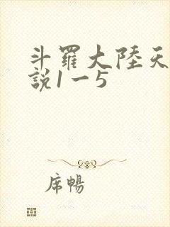斗罗大陆天狂传说1一5封面