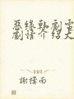 恶缘韩剧电视剧剧情介绍大全