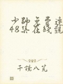 少帅免费连续剧48集在线观看高清封面