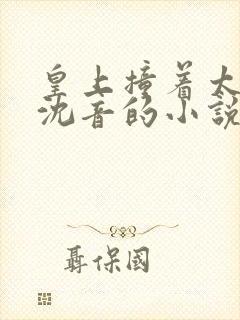 皇上撞着太子妃沈音的小说叫什么