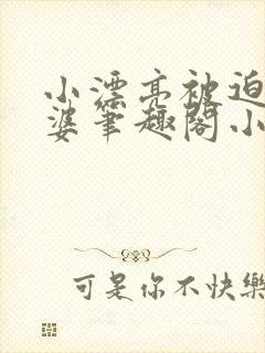 小漂亮被迫当老婆笔趣阁小说最新章封面