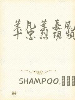 叶凡叶长风一门十忠烈视频