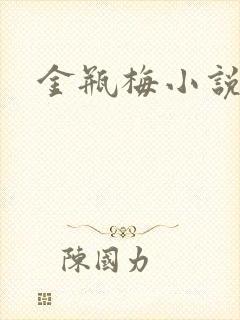 金瓶梅小说封面