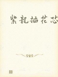 紫龙插花芯方正