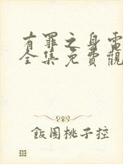 有罪之身电视剧全集免费观看高清