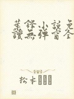 叶锋小说免费阅读无弹窗全文