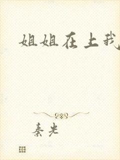 姐姐在上我在下