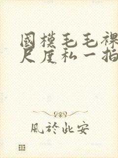 国模毛毛裸体大尺度私一拍