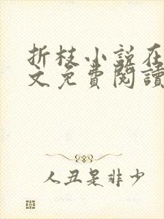 折枝小说在线全文免费阅读无弹窗封面