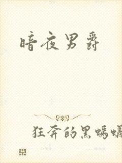 暗夜男爵