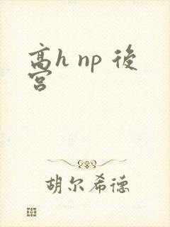 高h np 后宫