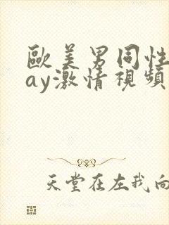 欧美男同性恋gay激情视频