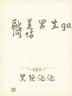 欧美男生gay网站