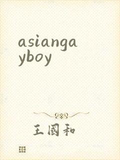 asiangayboy封面