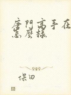 唐门高手在异世怎么样