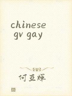 chinese gv gay
