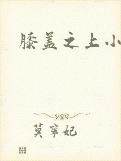 膝盖之上小说封面