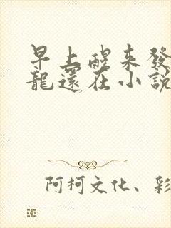 早上醒来发现巨龙还在小说