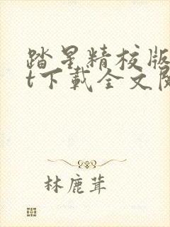 踏星精校版txt下载全文阅读