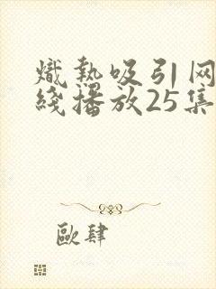 炽热吸引网剧在线播放25集免费观看