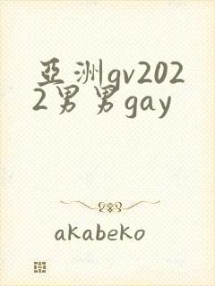亚洲gv2022男男gay