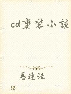 cd变装小说