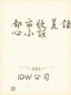 都市收美录宁素心小说
